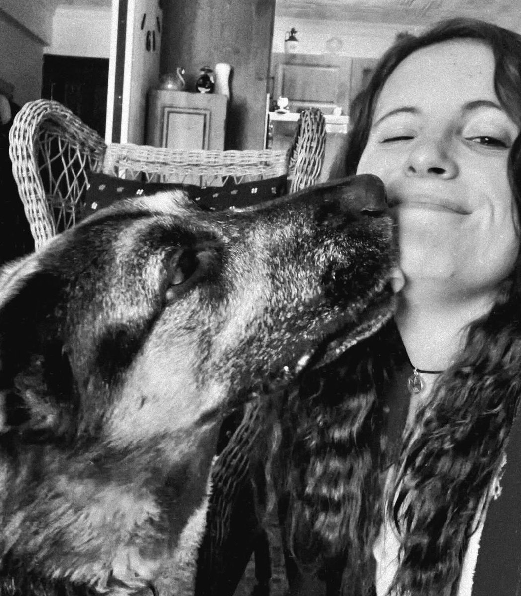 🍄Selodris 🍁 tweet media