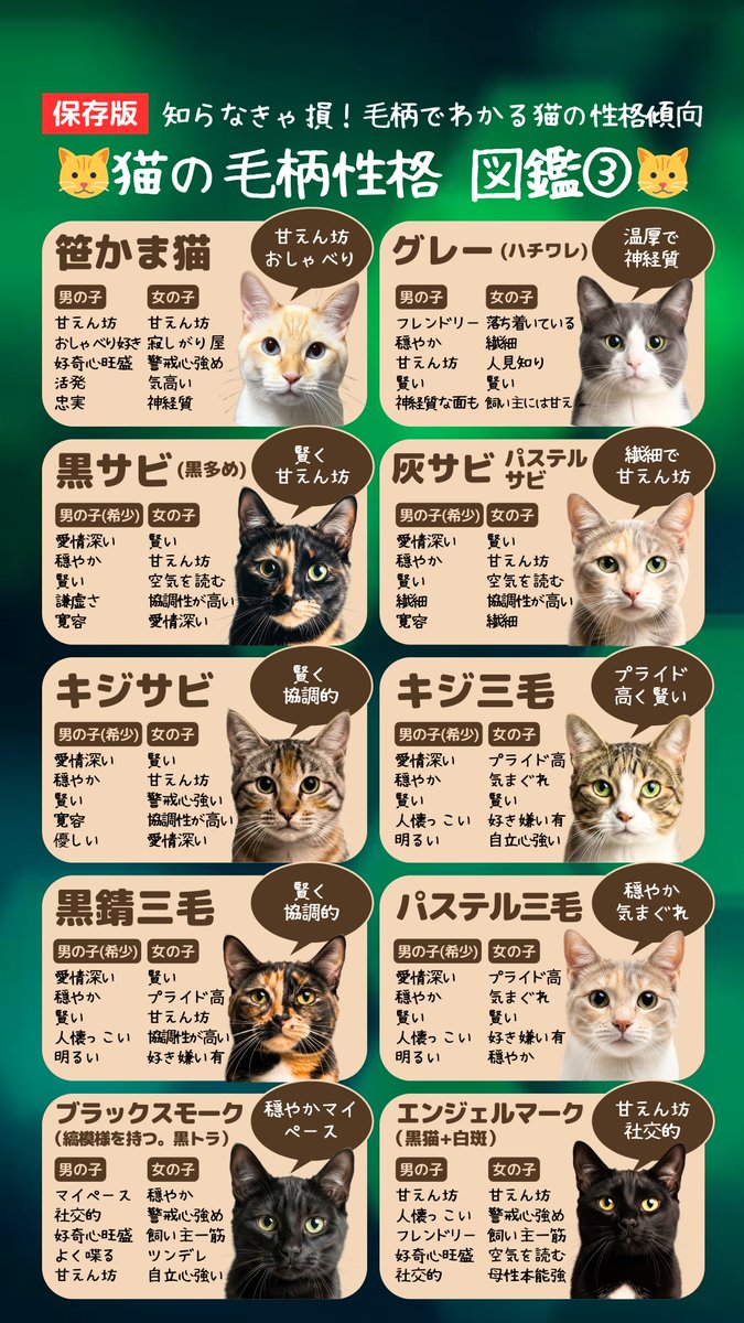 🐱猫雑学タイムス🐱
【保存版】知らなきゃ損！毛柄でわかる猫の性格傾向
猫の毛柄性格　図鑑③

【動画要約】
紹介猫は以下の通り🐈️
・笹かま猫
・グレーのハチワレ
・黒サビ（黒多めのサビ猫）
・灰サビ/パステルサビ（ダイリュートサビ）
・キジサビ/サビキジ
・キジ三毛（キジ柄+三毛）
