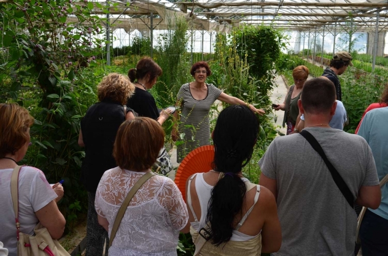 Ofrecemos Visitas Guiadas, dirigidas no solo a particulares, sino también a grupos grandes y colectivos (previa reserva con antelación) para conocer y aprender sobre nuestro Jardín Medicinal, con la mayor variedad de plantas medicinales de toda Europa.

ℹ️ dulcerevolucion.com/ubicacion-y-of…