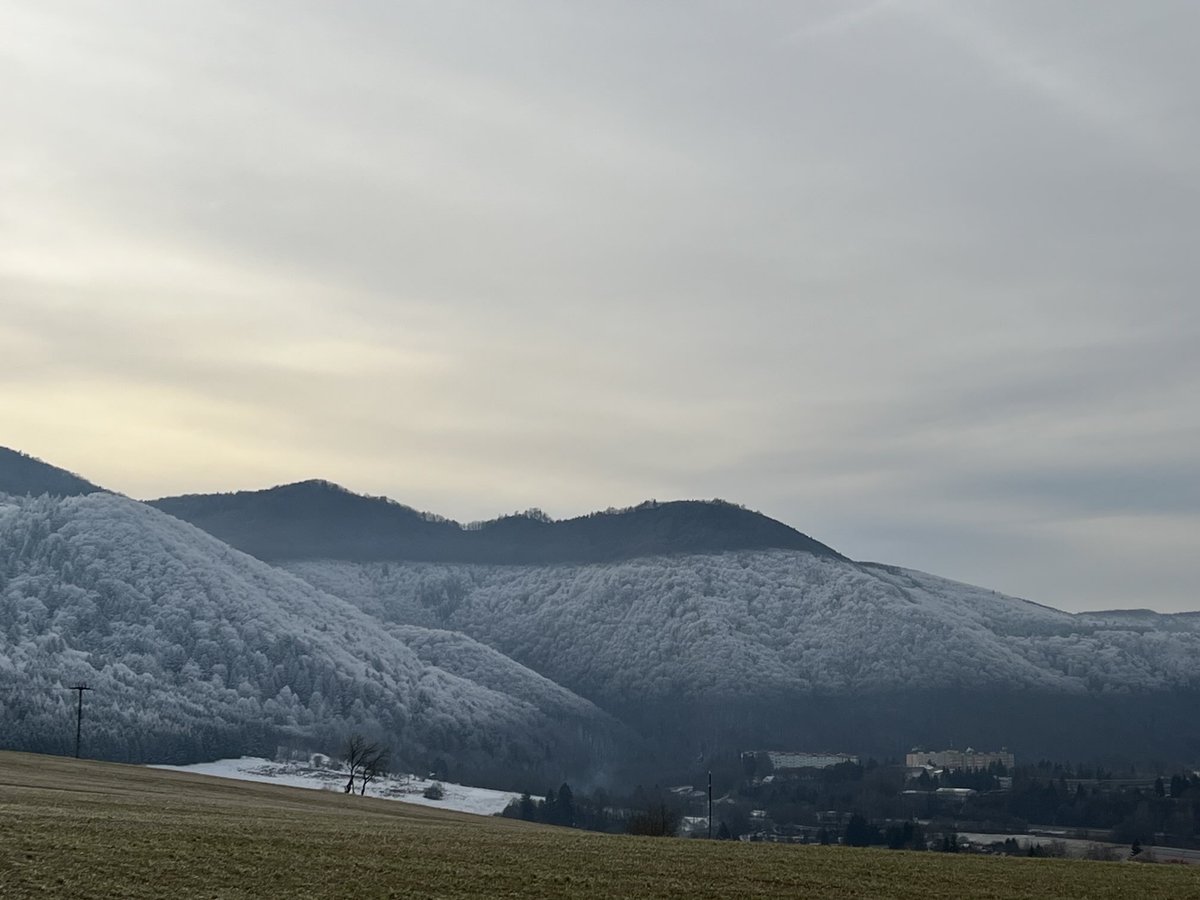 peter sorkovsky tweet media