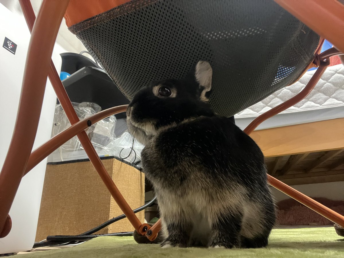 【相互フォロワー】ゆづきページ 今日はずっとここにいる