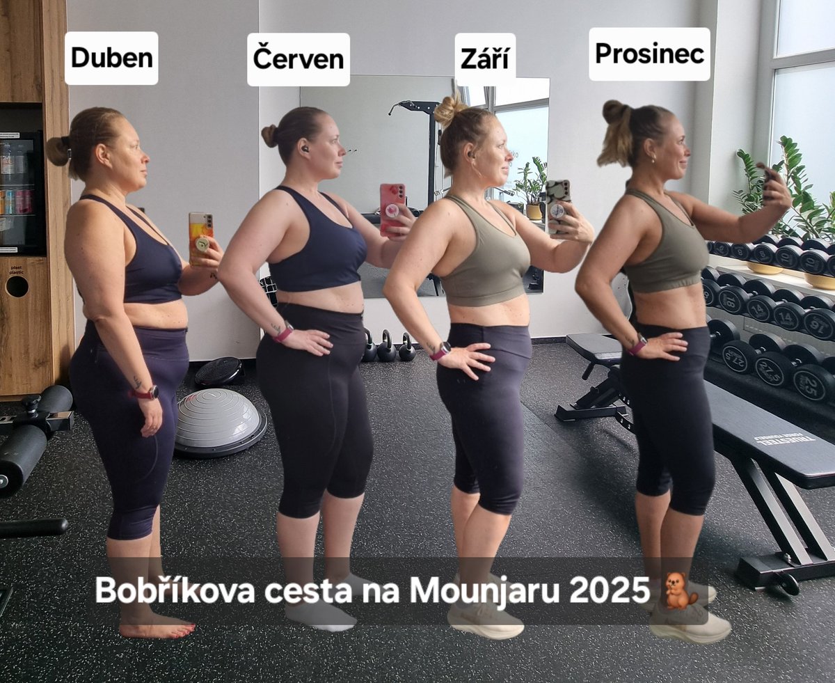 Mluvící Bobr tweet media