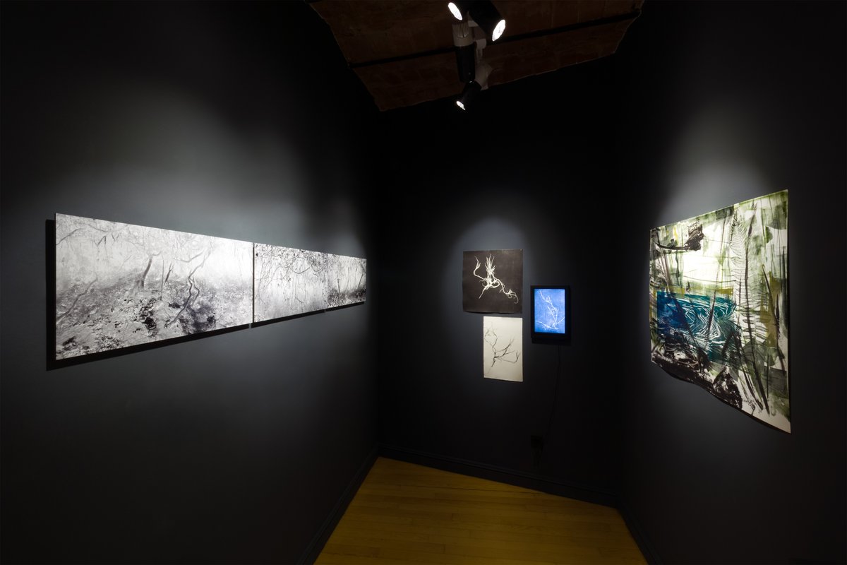 Hız ve görüntü karşısında bedenin yavaş, derin ve duyusal direnişini keşfetmek için son günler.