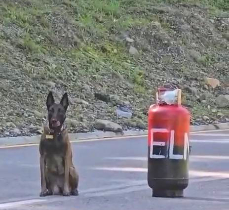 Plataforma ALTO tweet media