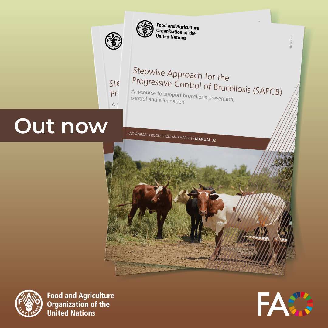 FAO Livestock tweet media