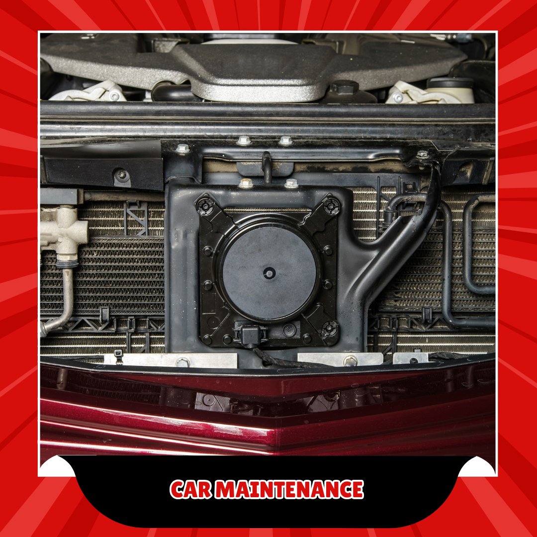 EuropeanTony's tweet image. We're all about prevention. Regular car maintenance helps keep those unexpected breakdowns at bay. Let's build a plan for your vehicle—message us today! #CarMaintenance
tonysautoeuropeanrepair.com/contact