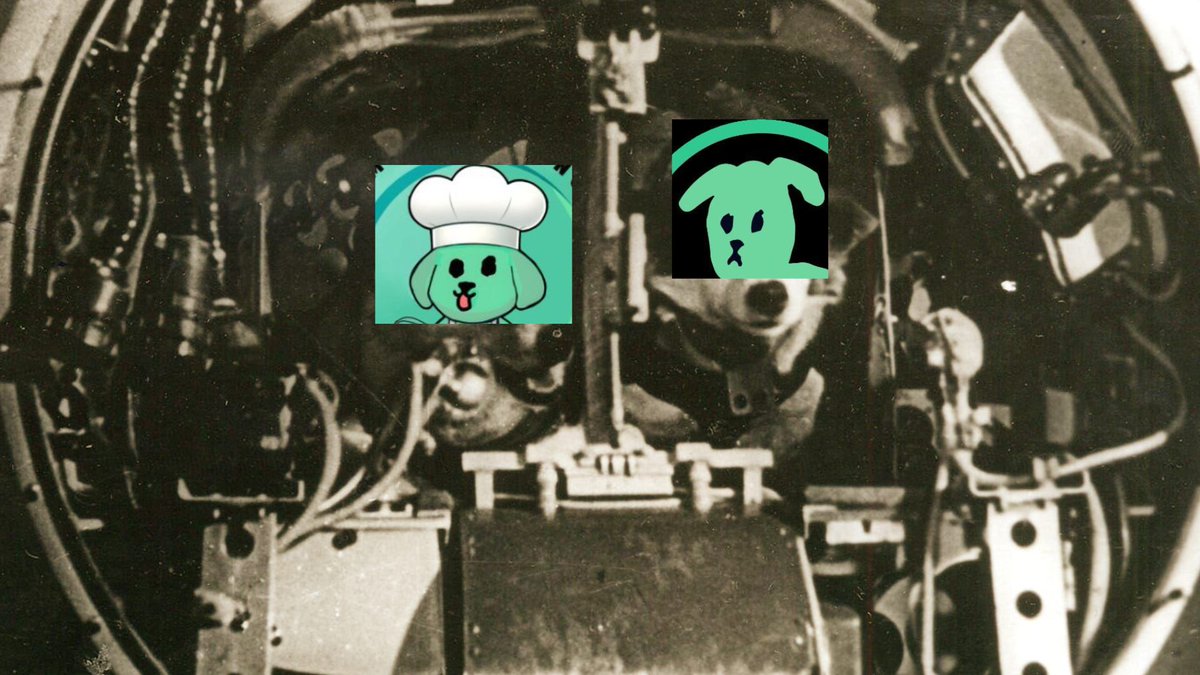 📸You are now viewing a historical photo. 

🚀<a href="/shitzuonnear/">S̴H̶I̶T̴Z̵U̴</a>  was the first dog that flew into space

🌕And very soon they will takes off again, but already for a month!

#shitzu #near #coin #token #NEARProtocol