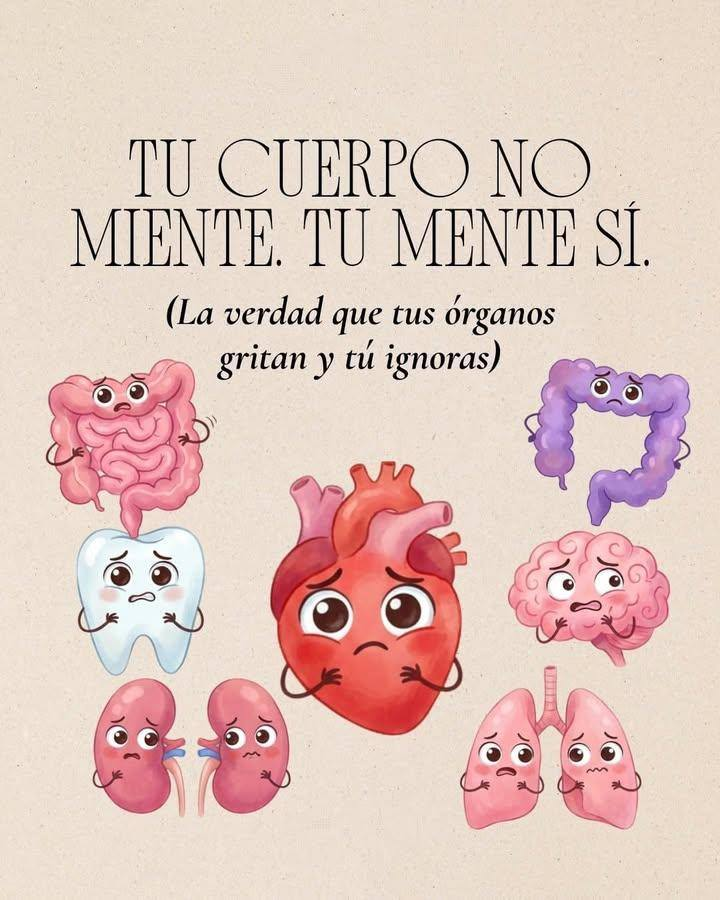 VirtudMental's tweet photo. Tus órganos gritan y tu los ignoras. 

Tu cuerpo no miente, tu mente si...

--Hilo-- https://t.co/77H872zN4G