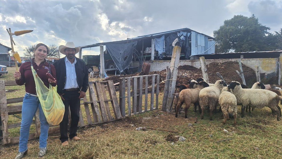 agriculturaEmex's tweet photo. Reunión ordinaria del Consejo Municipal de Desarrollo Rural Sustentable del municipio de Aculco, Estado de México, donde se abordaron temas tales como; producción de maíz con prácticas agroecológicas, fortalecimiento de ECAs y Programas de Gobierno https://t.co/POAMaqVIkI