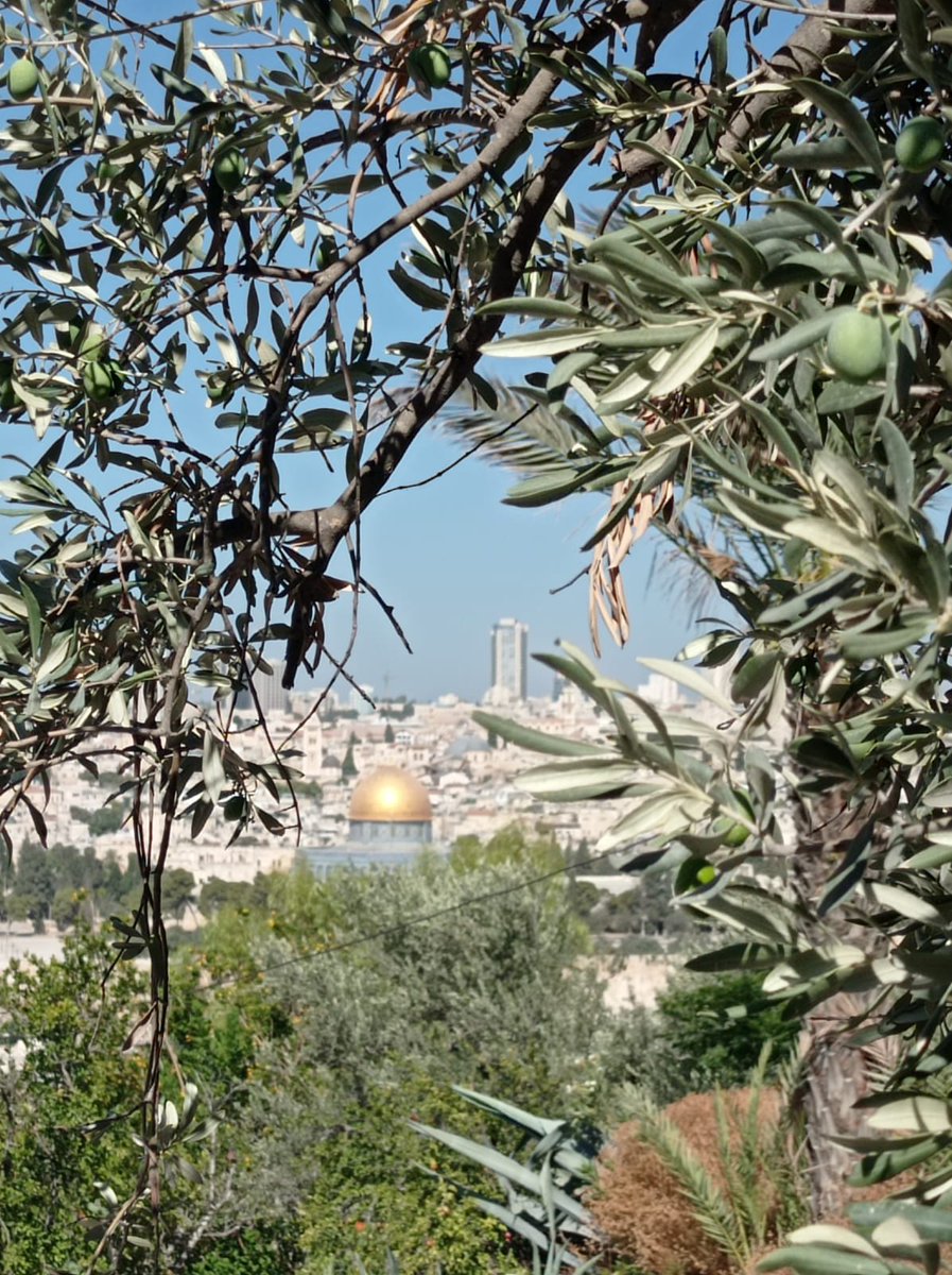 SDRJParis's tweet image. «Je souhaite confier au Seigneur les victimes de l'attentat terroriste perpétré hier à Sydney contre la communauté juive», a affirmé Léon XIV «Assez de ces formes de violences antisémites! Nous devons éliminer la haine de nos cœurs» @vaticannews_it  #SydneyAttack