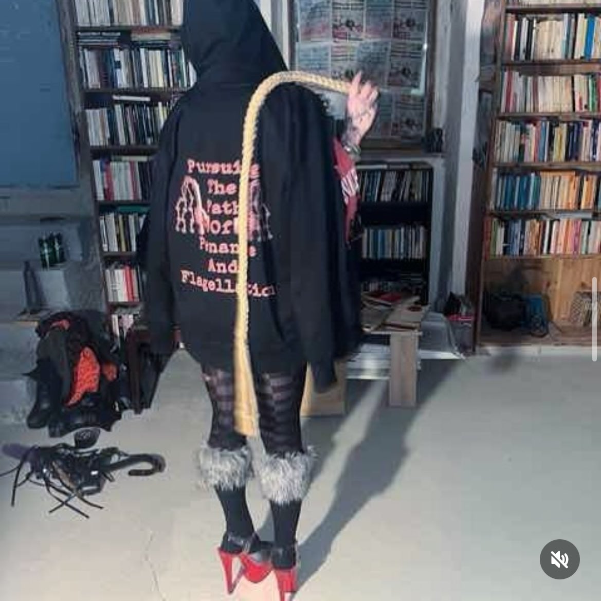 Stalkerplugg (@stalkerplugg) on Twitter photo 