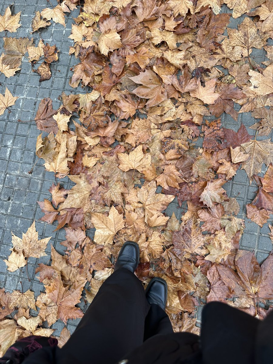Siempre que nuestra historia dio un paso importante, llovió. No fue solo una vez: ocurrió en los momentos que marcaron un antes y un después. La lluvia es raḥma, una misericordia que desciende del cielo y acompaña los nuevos comienzos.Por eso, nunca sentí que fuera casualidad.