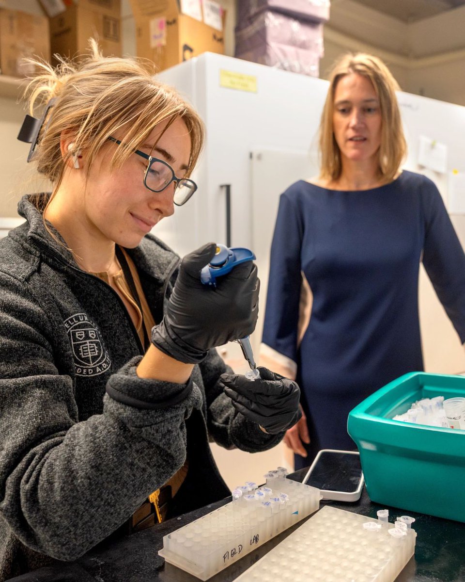 Cornell Research & Innovation tweet media