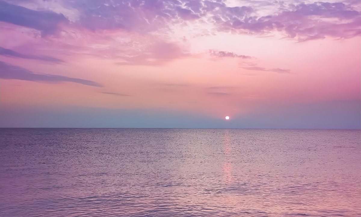 gardenofcolours's tweet image. 