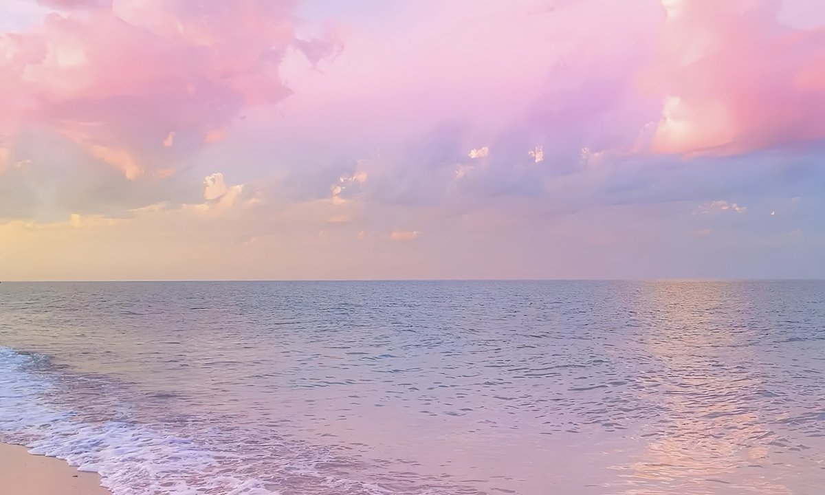 gardenofcolours's tweet image. 