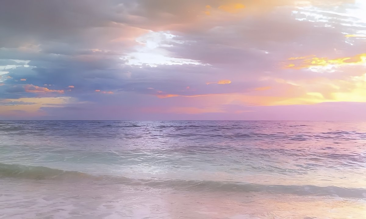 gardenofcolours's tweet image. 