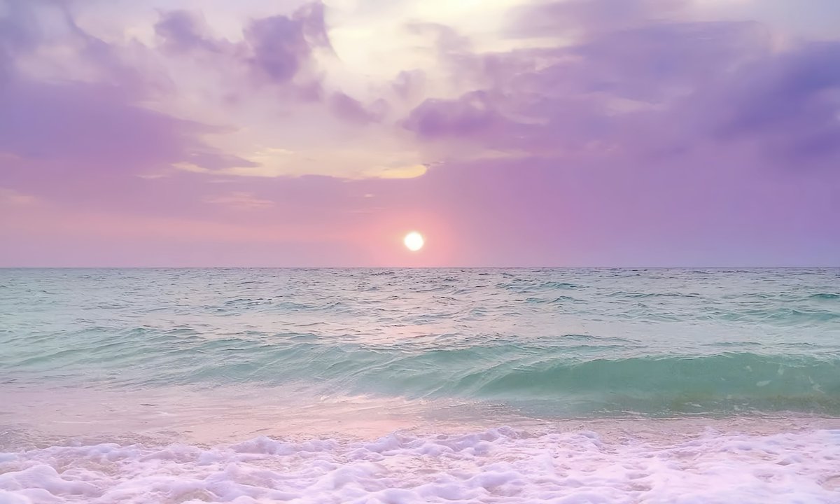 gardenofcolours's tweet image. 