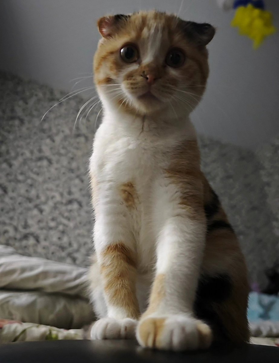 Шо ви тут, смертні? 😎