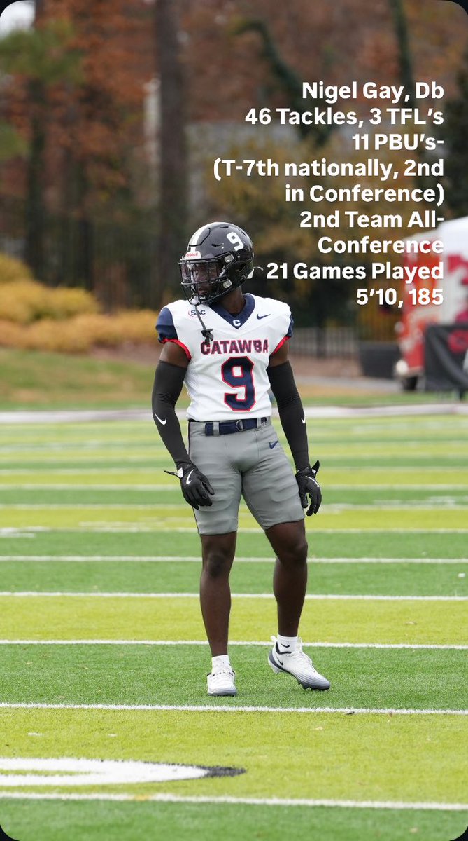 Nigel Gay tweet media