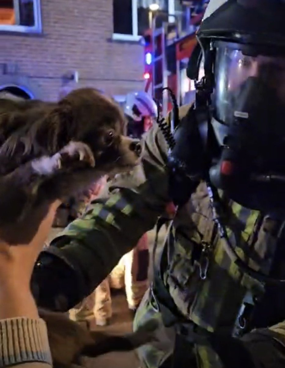 [BRAND DIKSMUIDE] Om 18u31 werd Brandweer Westhoek opgeroepen voor een woningbrand in de Pollaertstraat. Brand zorgde voor heel wat schade. Bewoner was niet thuis. Brand snel onder controle, hond herenigd met baasje. Woning tijdelijk onbewoonbaar. 📸 FVL