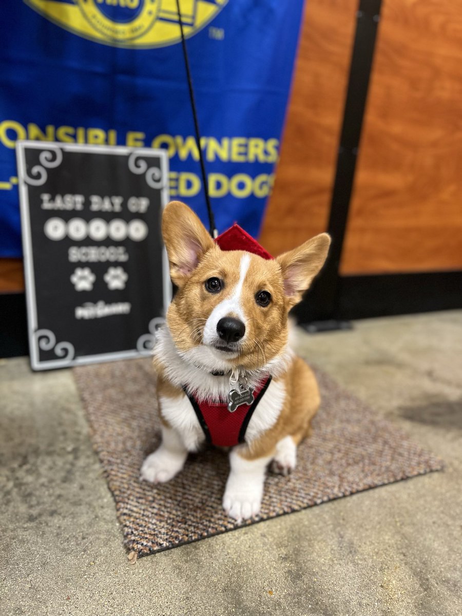 Jonathan Deutsch tweet media