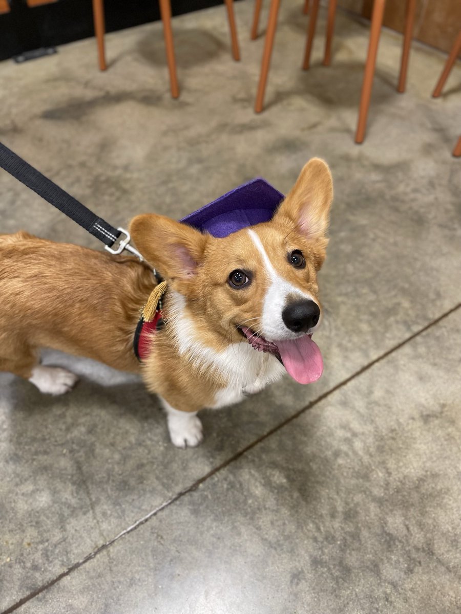 Jonathan Deutsch tweet media