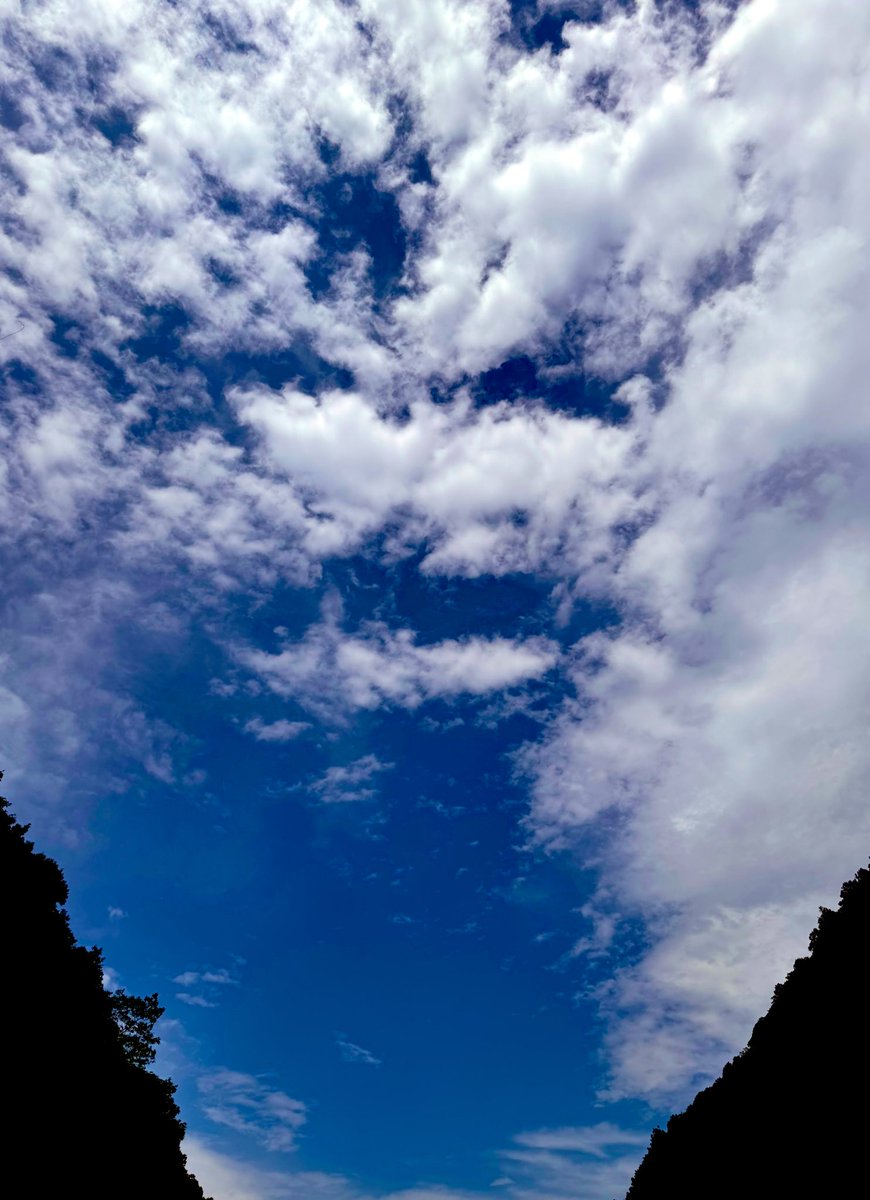 Jocaccia tweet media