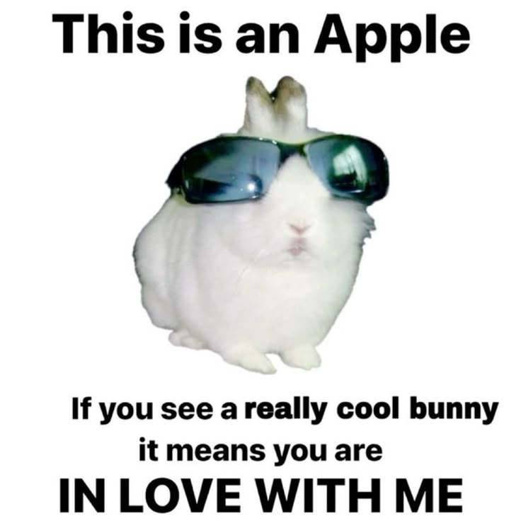 GHOSTELEGANS's tweet image. 