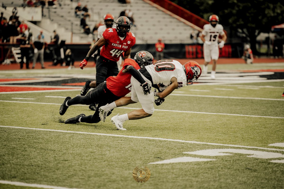 Stephen Ellison tweet media