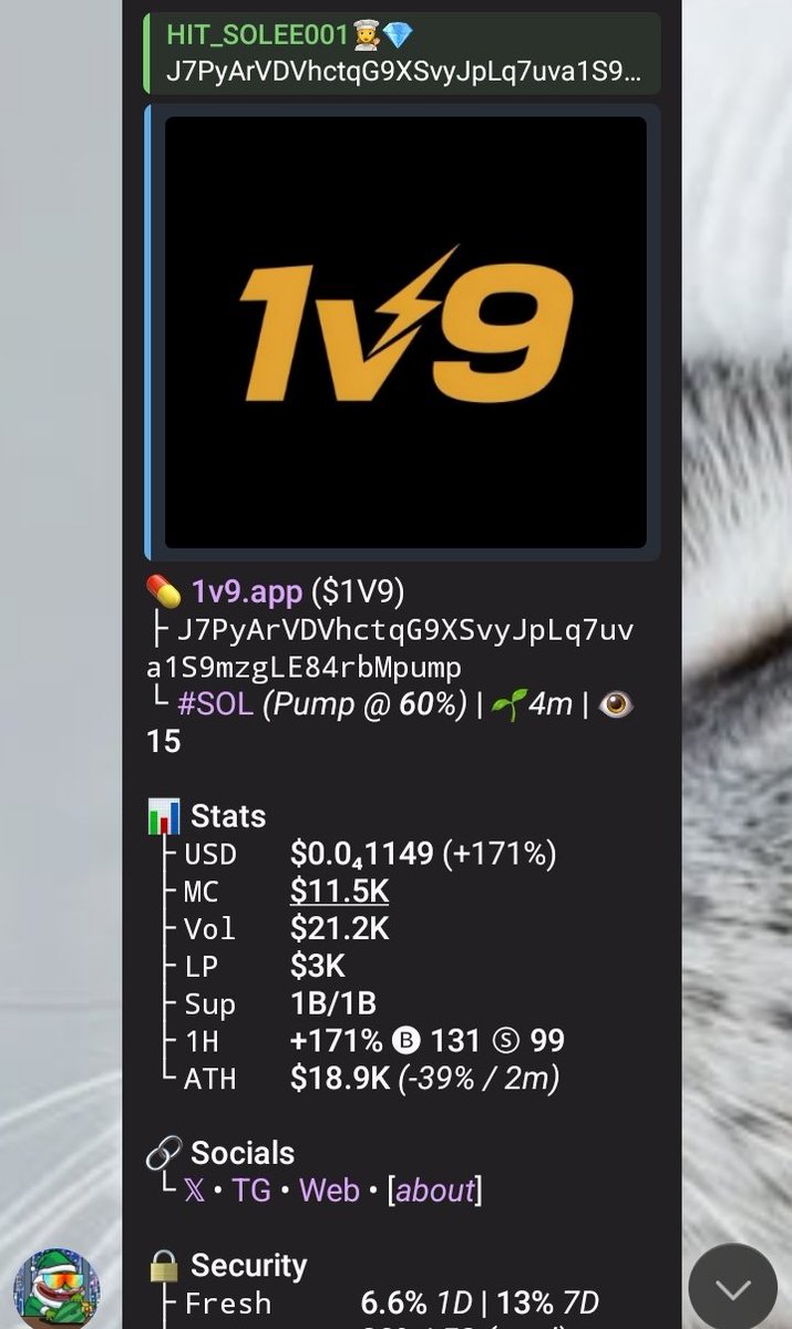 (๑˃̵ᴗ˂̵)♡！ ZXI 8