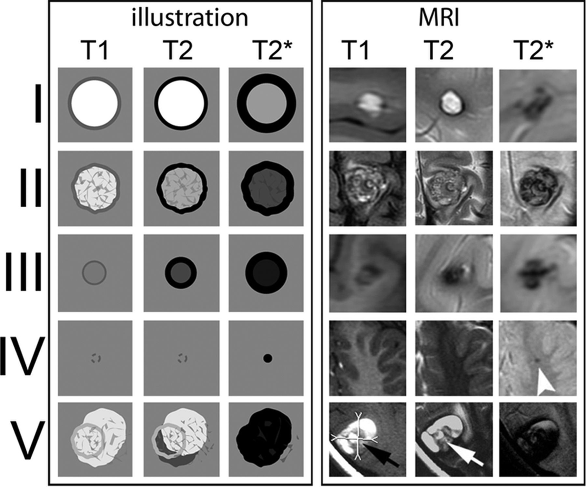 Doc Navarrow tweet media