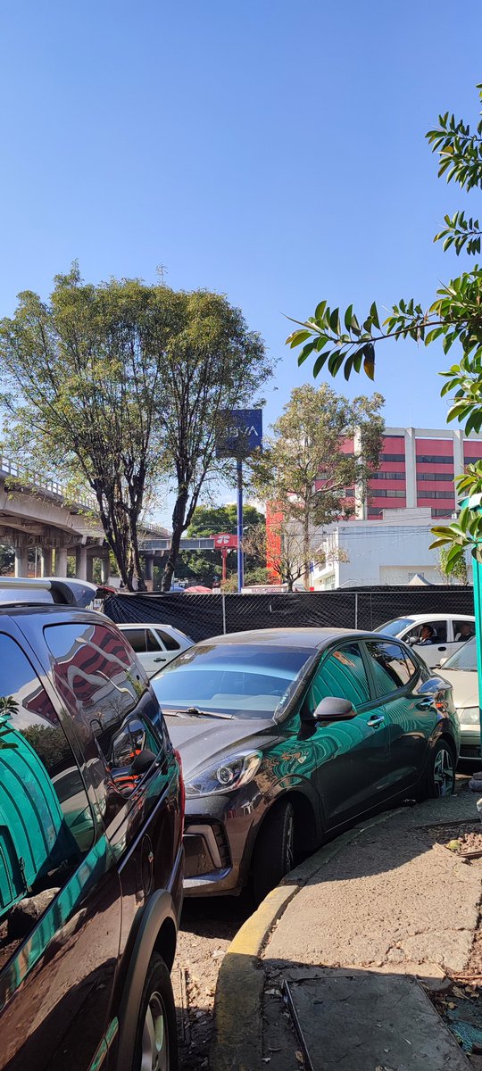 Alberto S.B. tweet media