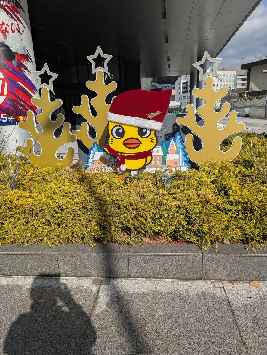 はなはな (@ELLE10GA31) / Posts / X