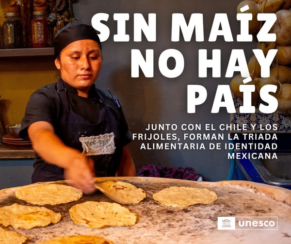 #MuyInteresante 
La cocina tradicional mexicana forma parte de la Lista Representativa del Patrimonio Cultural Inmaterial de la humanidad por la #UNESCO desde 2010.

Conoce + 👉 goo.su/s5PtCBe

#DecenioInternacionalDeLasLenguasIndígenas  #MiCulturaMiRaíz