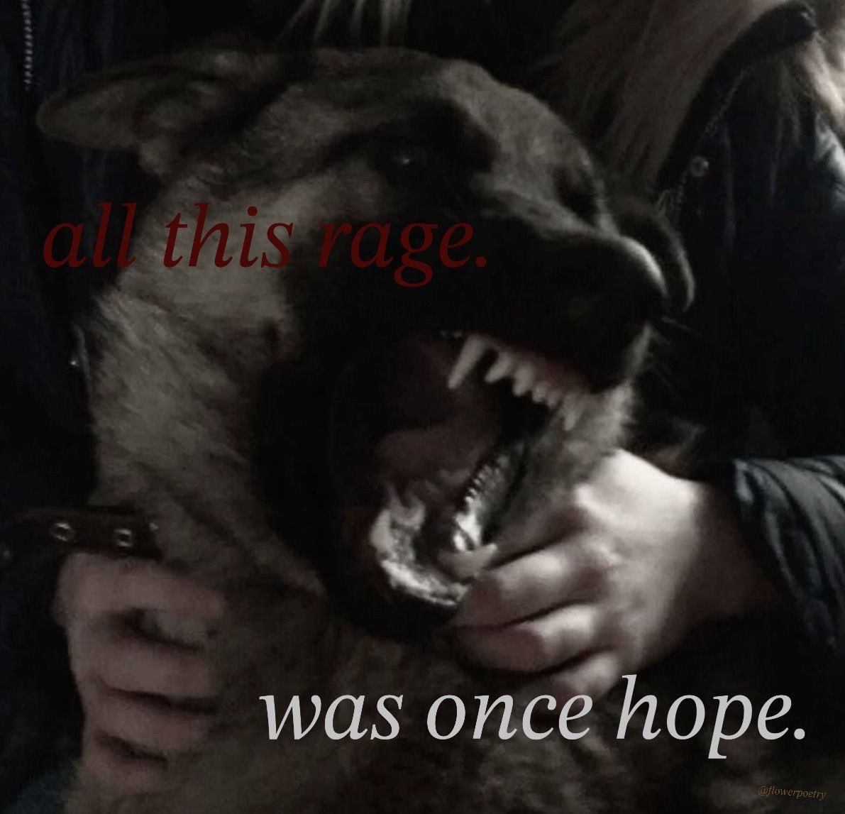 gothsthetiques's tweet image. 