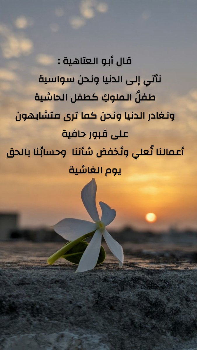 الجنوبية (@m_alghamdy0) on Twitter photo 