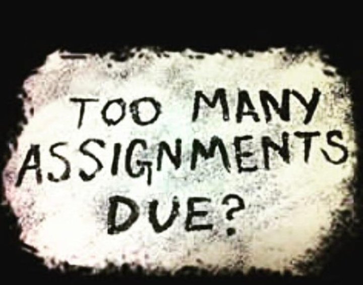 StudyNestyfm's tweet image. Hit me up anytime.