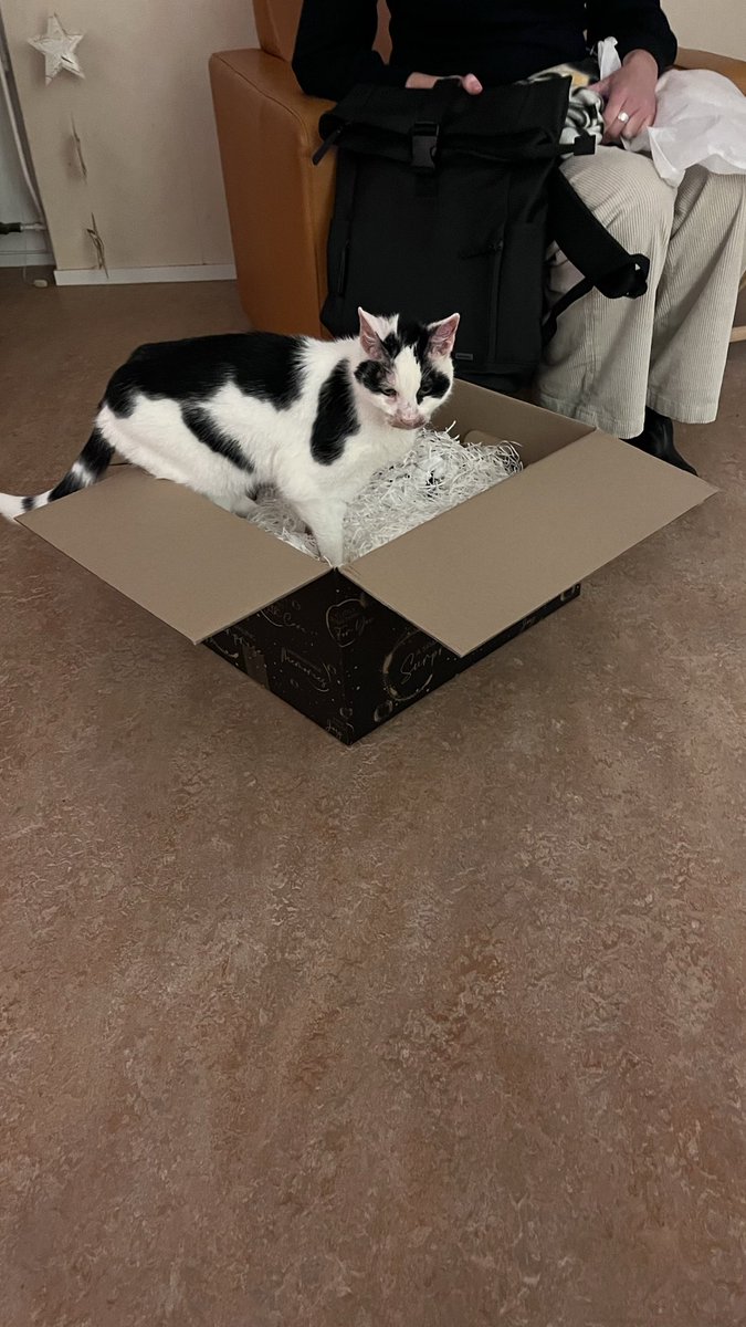 modelchauffeur tweet media