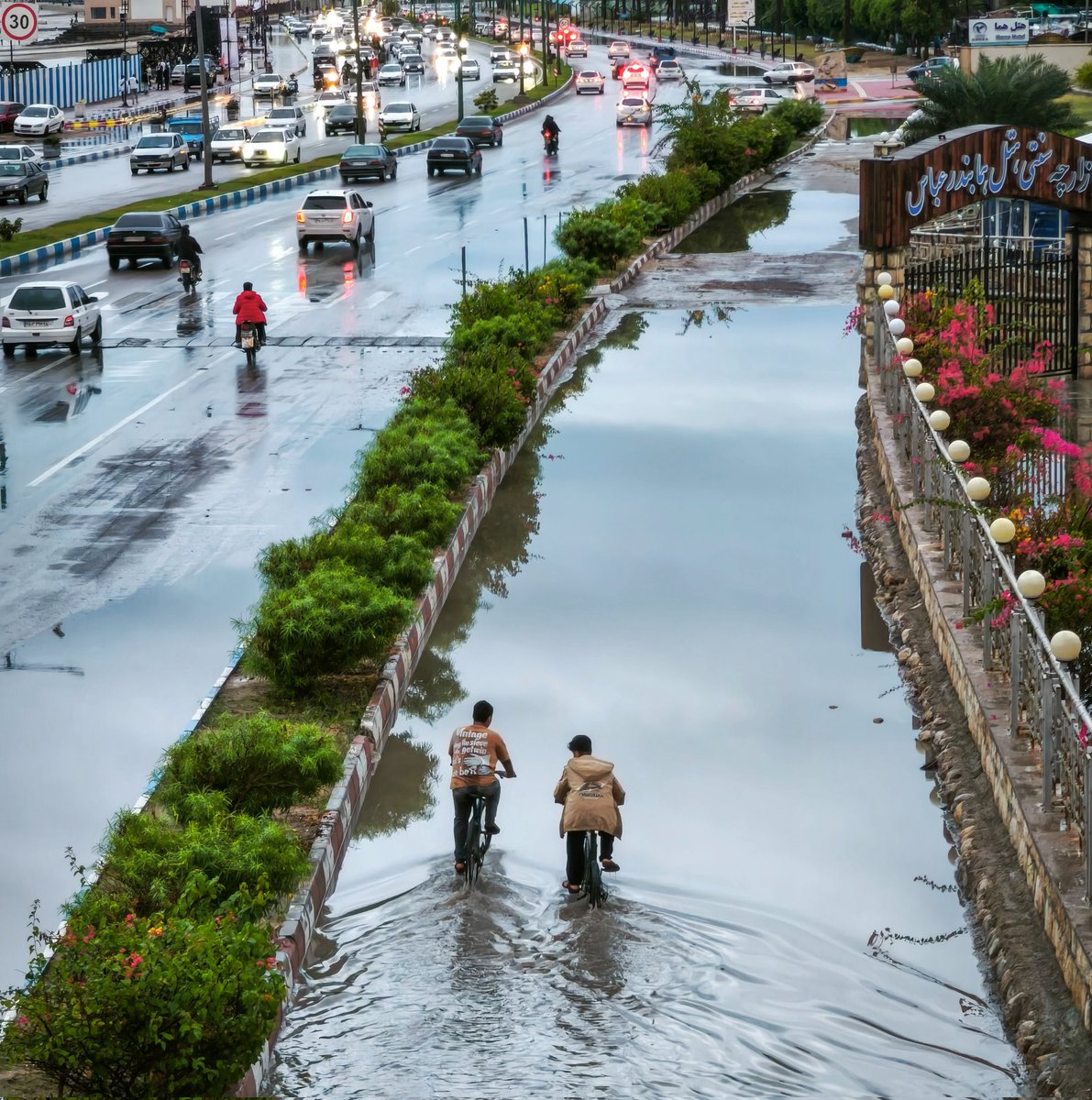 morteza_soleymani tweet media