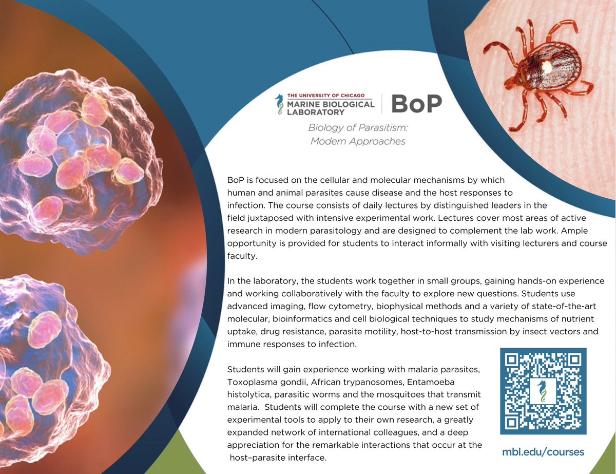 Graduate students &amp; postdocs: looking to level up your parasitology toolkit?
The Biology of Parasitism (BoP) course at <a href="/MBLScience/">Marine Biological Laboratory (MBL)</a> offers immersive, hands-on training with world-class faculty.
💰 Financial support available
⏰ Deadline: Feb 5, 2026
🔗 mbl.edu/courses