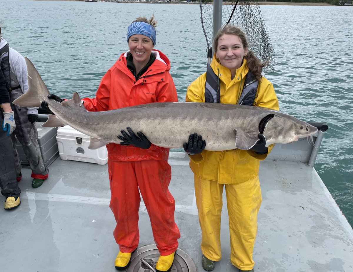 Andrew Briggs tweet media