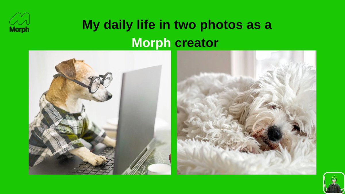 DanielPelumi20's tweet image. It's always been cool to be @MorphNetwork where you'd enjoy lots of connections... Not only on what they are building but some other activities.
We keep Morphing 💚🍀.
I feel like sleeping after the whole thing 😅.
@asadkhalid888
#MorphNetwork #BGB #CreatorContent #Morph