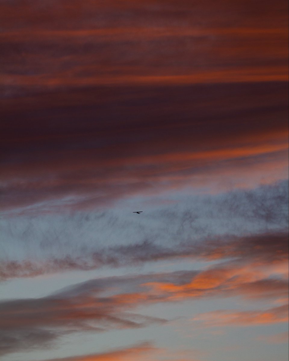 WHGA's tweet photo. Sunset Scenes ๐
This evening we were treated to a stunning sunset here at the green. Amazing weather to fly in! โ๏ธ
#HalfpennyGreen #WolverhamptonAirport #GeneralAviation #SunsetAviation #sunset #sunsetphotography #goldenhour https://t.co/UOjRBnHNPo