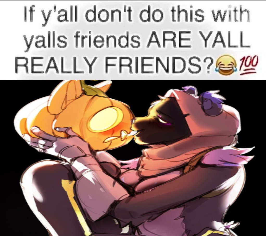 gold pumpkin cat lady 🧡 (@8bitpumpkinkit) on Twitter photo 