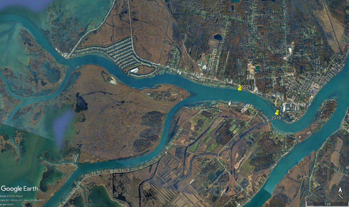 Andrew Briggs tweet media