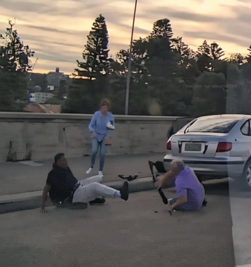 LeLapinDuFutur's tweet image. Voici Boris et Sofia Gurman.

Ils ont courageusement tenté de stopper l'un des terroristes musulmans à Sydney, mais ont malheureusement été maîtrisés et abattus.

Les médias ne parlent pas d'eux parce qu’ils étaient des Australiens blancs.