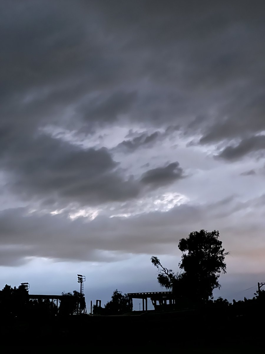 زعفرون tweet media