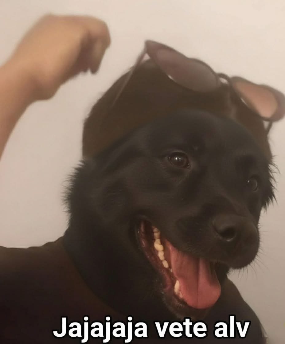 Cuando estoy comiendo carne asada y le aviento un pedazo de verdura a mi perrito: