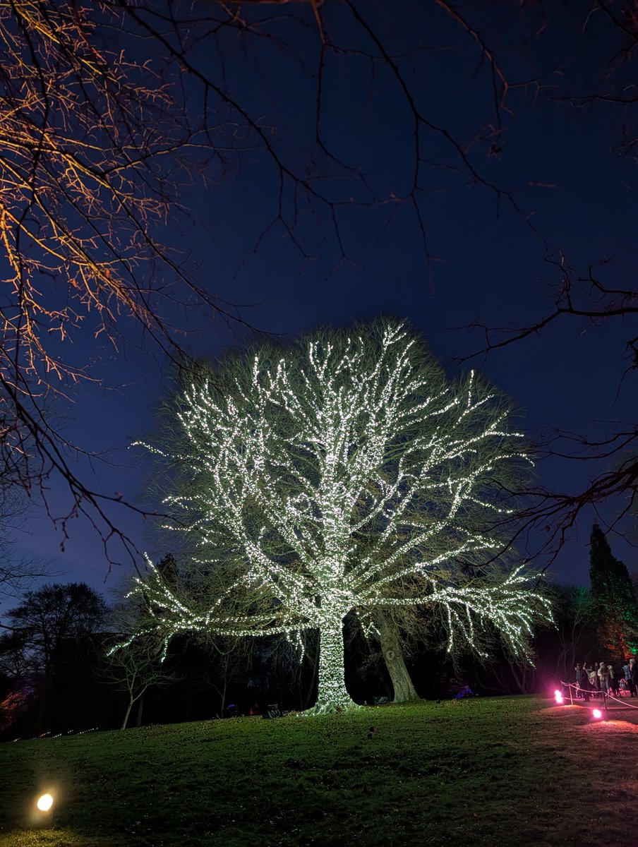 Ridgeway tweet media