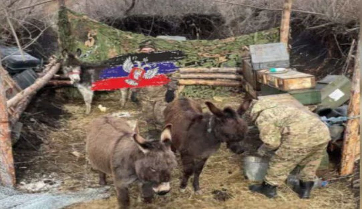 Почему жители РФ молчат о геноциде россиян путиным???

На СВО уже вербуют многодетных отцов, хромых, слепых, прокаженных и глухих. Страшно подумать... даже стали призывать геев, педофилов, зоофилов и представителей других сексуальных ориентаций!

Результат на лицо –👇